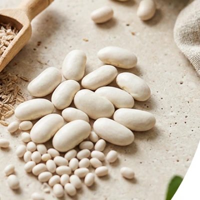 Seller illustration of white kidney bean extract